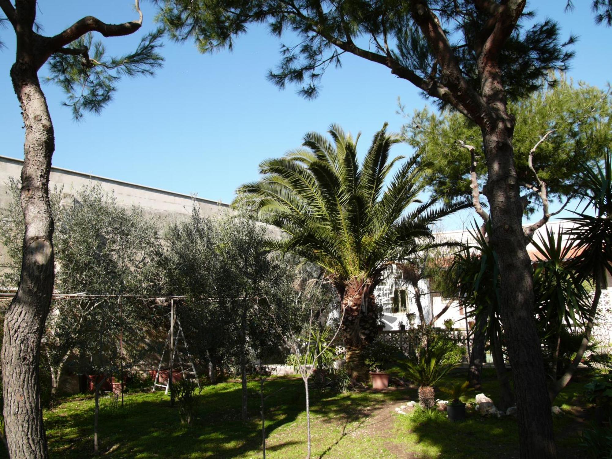 Apartamento Teresa Iris E Ibisco