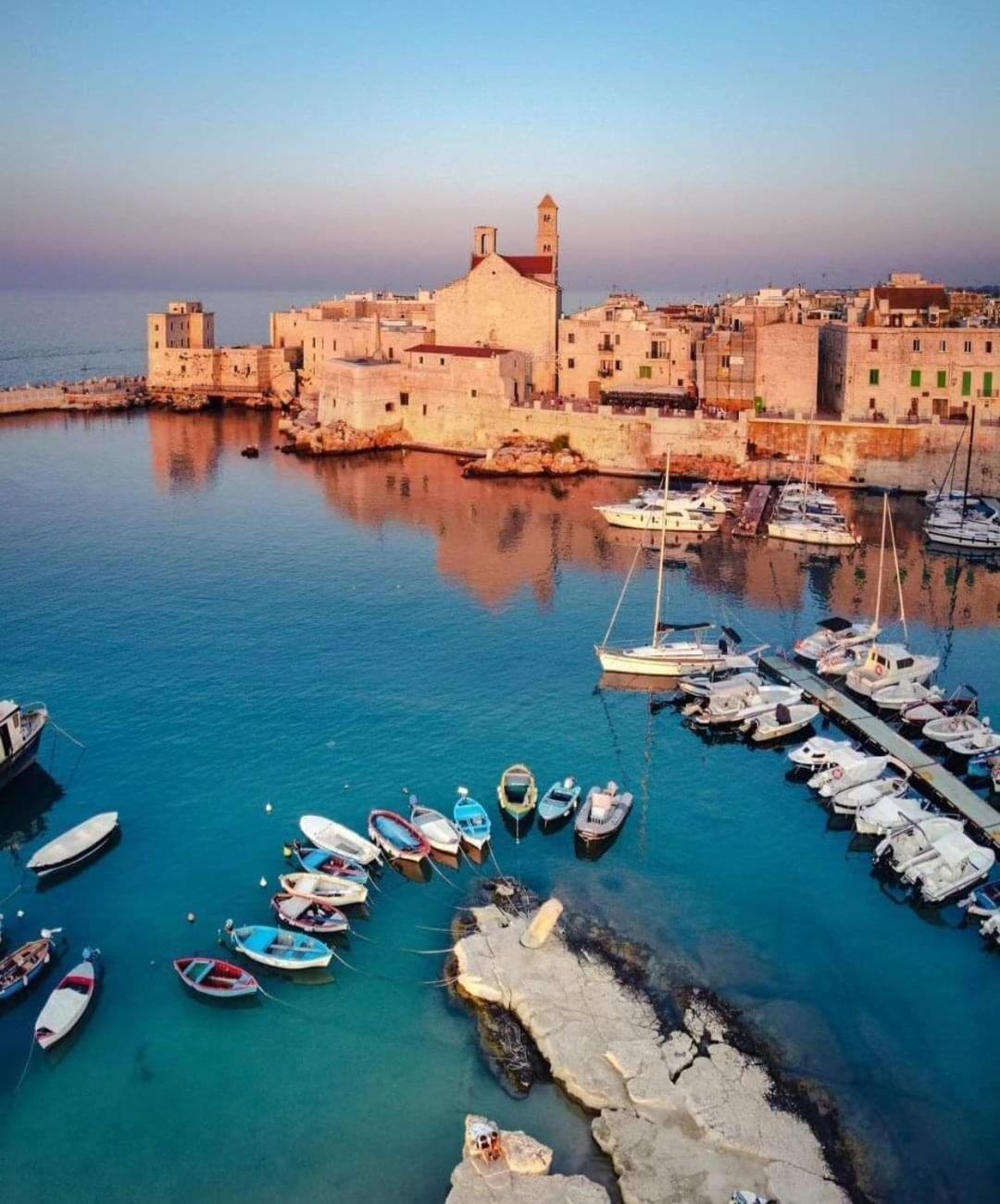 Teresa Iris E Ibisco Giovinazzo